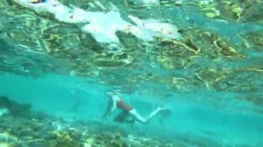 yüzücü oyun sualtı deniz 4k