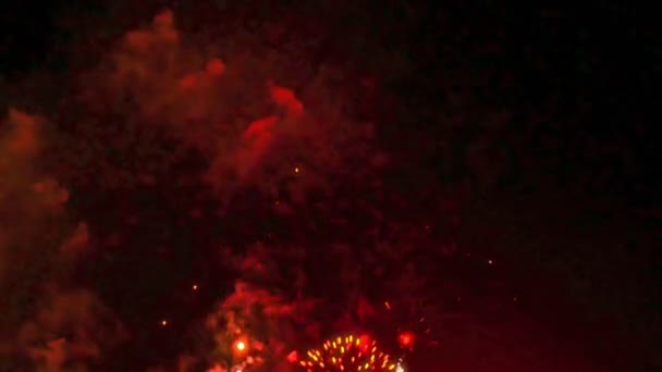 Buntes Feuerwerk Der Urlaubsnacht — Stockvideo