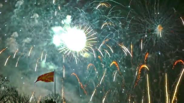 Πολύχρωμα Πυροτεχνήματα Εμφάνιση Στη Νύχτα Διακοπών — Αρχείο Βίντεο