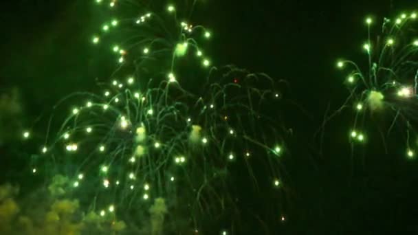 Πολύχρωμα Πυροτεχνήματα Εμφάνιση Στη Νύχτα Διακοπών — Αρχείο Βίντεο