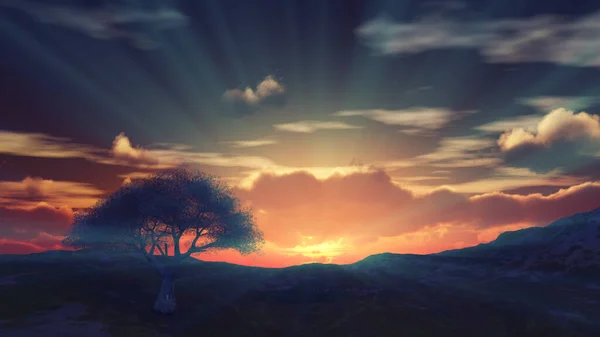 Solnedgång Vid Äng Och Ensam Träd Render Illustration — Stockfoto