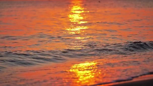 Spiaggia onda spruzzi macro al tramonto — Video Stock