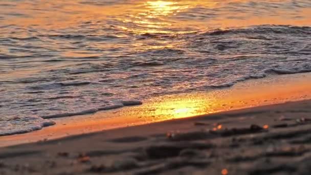 Κύμα παραλία πιτσίλισμα μακροεντολή στο ηλιοβασίλεμα — Αρχείο Βίντεο