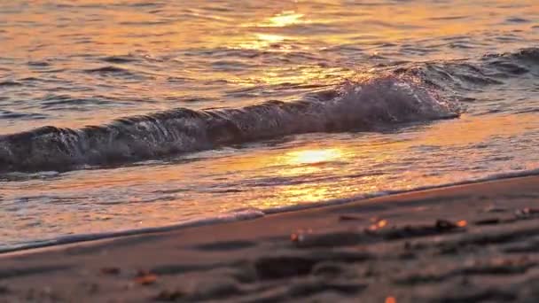 Onda de praia salpicando macro no pôr do sol — Vídeo de Stock