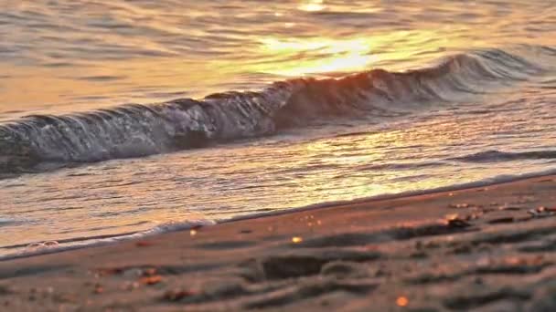 Plage vague éclaboussures macro au coucher du soleil — Video