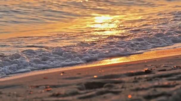 Onda de praia salpicando macro no pôr do sol — Vídeo de Stock