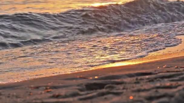 Onda de praia salpicando macro no pôr do sol — Vídeo de Stock