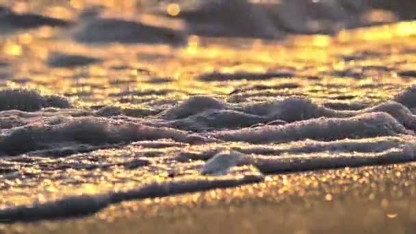 Onda de praia salpicando macro no pôr do sol — Vídeo de Stock