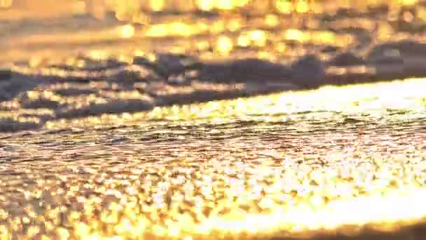 Fala plażowa rozbryzga makro o zachodzie słońca — Wideo stockowe