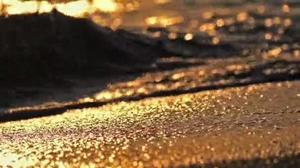 Pláž vlna stříkající makro při západu slunce — Stock video