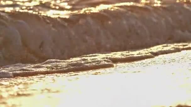 Strand våg stänk makro i solnedgången — Stockvideo