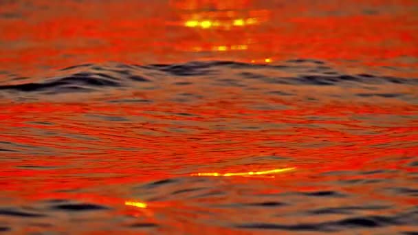 Wschód słońca złoty morze powolny ruch — Wideo stockowe