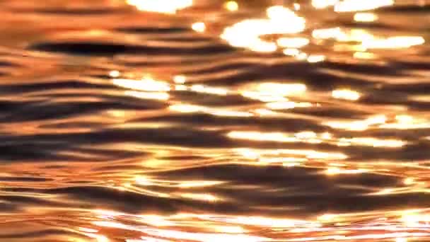 Ανατολή χρυσή θάλασσα αργή κίνηση — Αρχείο Βίντεο
