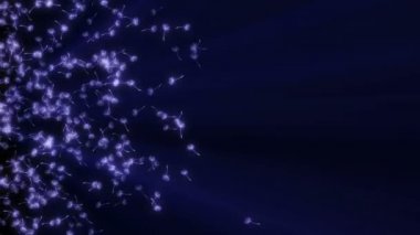 Karahindiba tohumu uzayda uçar