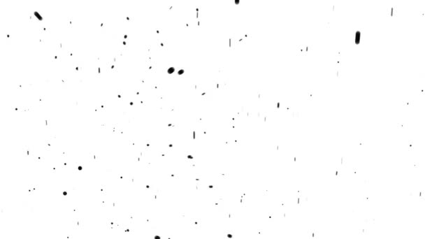 feux d'artifice particule noire fond blanc