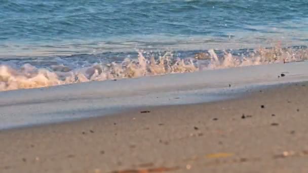 Onda de praia macro câmera lenta 4k — Vídeo de Stock