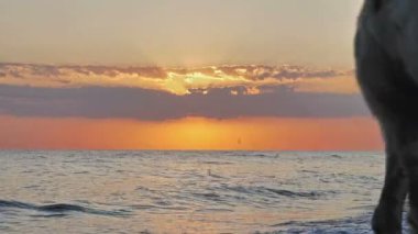 Güneş ışığı plajı üzerinde gün doğumu 4k