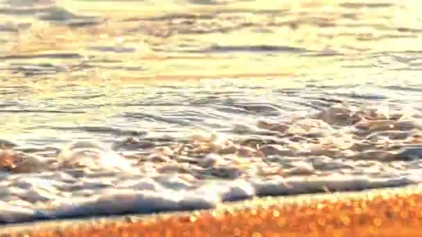 Strandwelle plantscht Makro im Sonnenuntergang 4k — Stockvideo