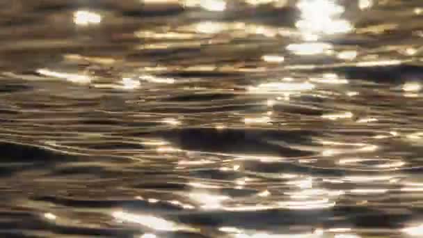 Замедленная съемка золотого моря 4k — стоковое видео