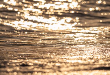 Gün batımında deniz dalgası yakın çekim makrosu