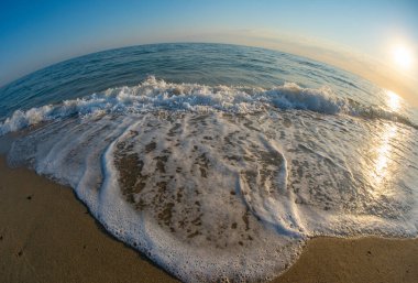Dalga sahili balık gözü makroyu kapat