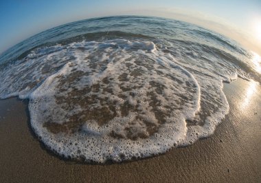 Dalga sahili balık gözü makroyu kapat