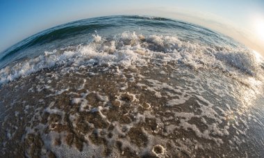 Dalga sahili balık gözü makroyu kapat