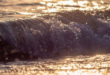 Dalgalar deniz kıyısına vuruyor Makro güneş doğuşunu kapatıyor