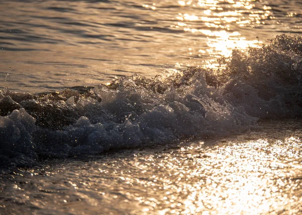 Wave Splash Sea Beach Close Macro Sunrise — Stock Photo, Image