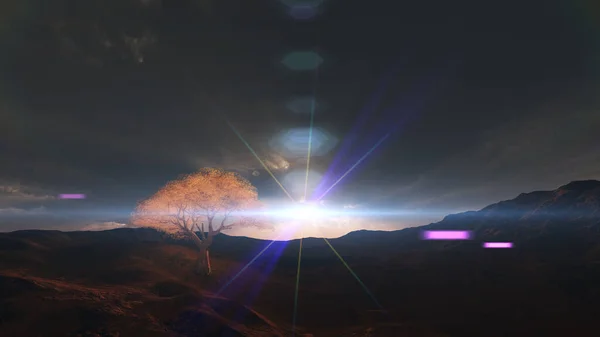Sonnenuntergang Wiese Und Einsamem Baum Darstellung — Stockfoto