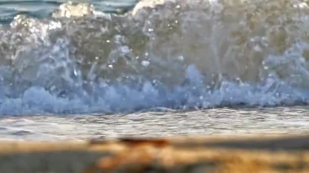 plage vague macro ralenti