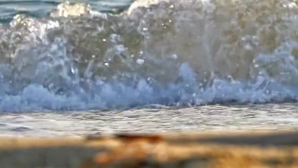 Onda de praia macro câmera lenta — Vídeo de Stock