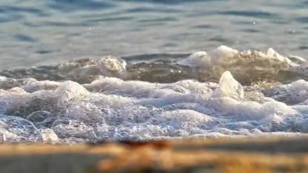 Beach wave macro slow motion — Stock Video