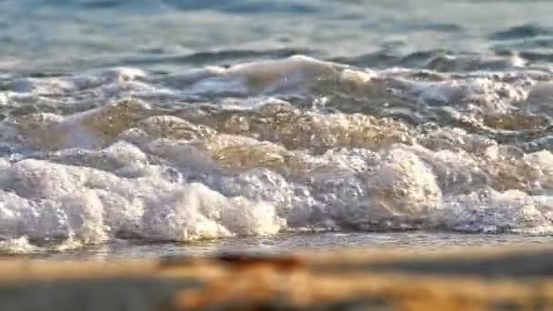 Onda de praia macro câmera lenta — Vídeo de Stock