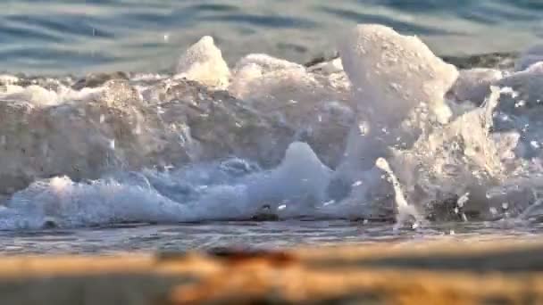 Onda de praia macro câmera lenta — Vídeo de Stock