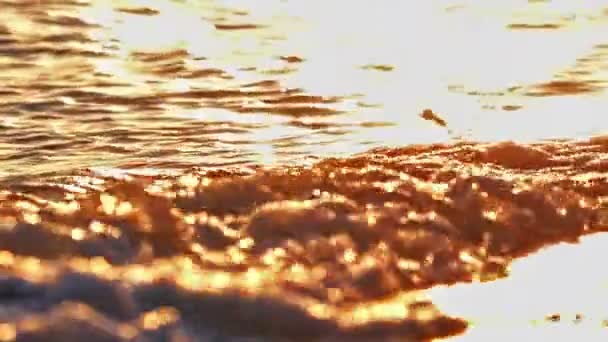 Spiaggia onda spruzzi macro al tramonto — Video Stock