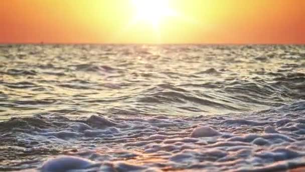 해 가질 때는 바닷물에 매머드가 튀기는 모습 — 비디오