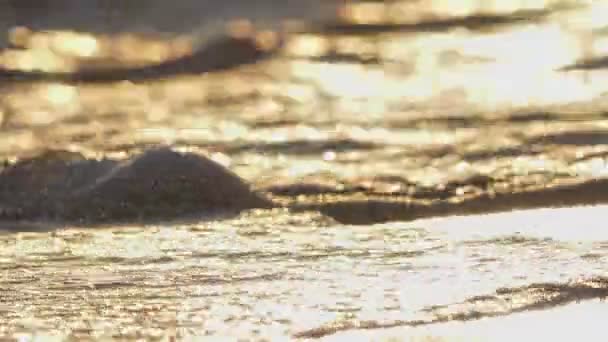 해질 무렵 바닷물에 매크로를 튀기는 해변 4k — 비디오