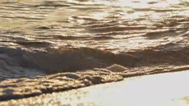 해질 무렵 바닷물에 매크로를 튀기는 해변 4k — 비디오