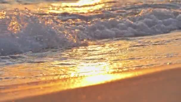 Onda de praia salpicando macro no pôr do sol 4k — Vídeo de Stock