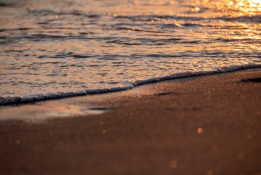 Dalgalar deniz kıyısı makrosu sıçratıyor. Yaklaş.