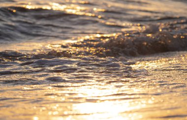Dalgalar deniz kıyısı makrosu sıçratıyor. Yaklaş.