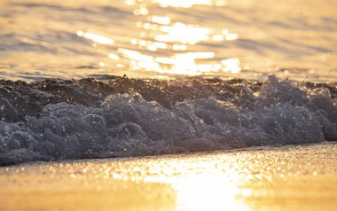 Dalgalar deniz kıyısı makrosu sıçratıyor. Yaklaş.