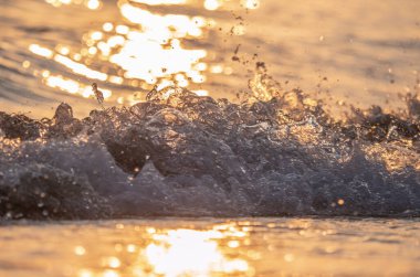 Dalgalar deniz kıyısı makrosu sıçratıyor. Yaklaş.
