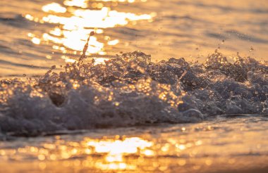 Dalgalar deniz kıyısı makrosu sıçratıyor. Yaklaş.
