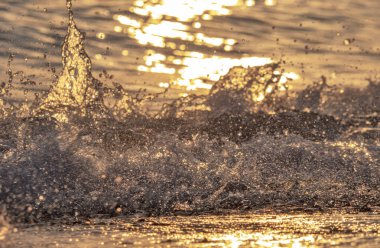 Dalgalar deniz kıyısı makrosu sıçratıyor. Yaklaş.