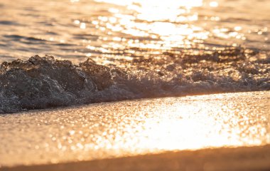 Dalgalar deniz kıyısı makrosu sıçratıyor. Yaklaş.