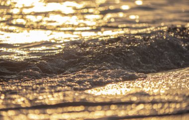 Dalgalar deniz kıyısı makrosu sıçratıyor. Yaklaş.