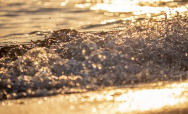 Dalgalar deniz kıyısı makrosu sıçratıyor. Yaklaş.