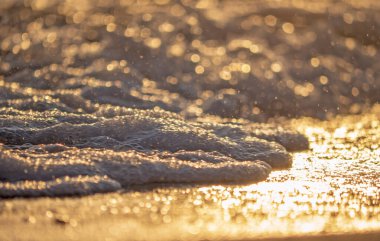 Dalgalar deniz kıyısı makrosu sıçratıyor. Yaklaş.